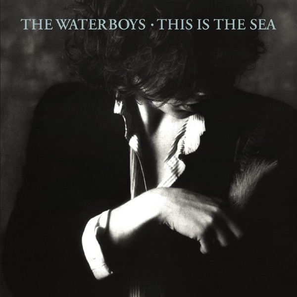 Cover of 'This Is The Sea' - The Waterboys